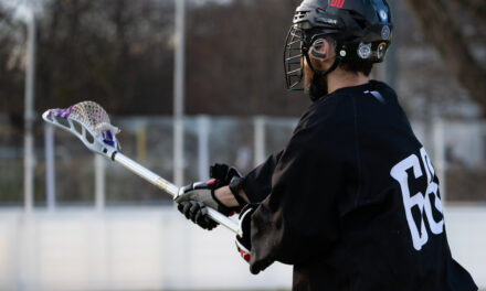 Deutsche Box Lacrosse Liga – Der Weg zur Meisterschaft